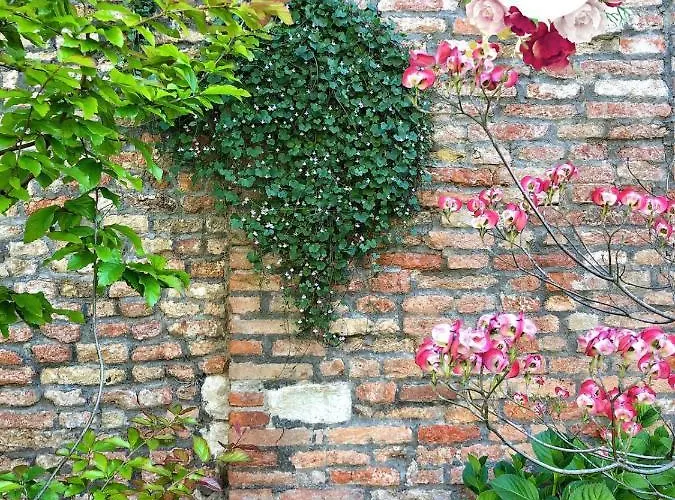 Madama Garden Retreat Venise